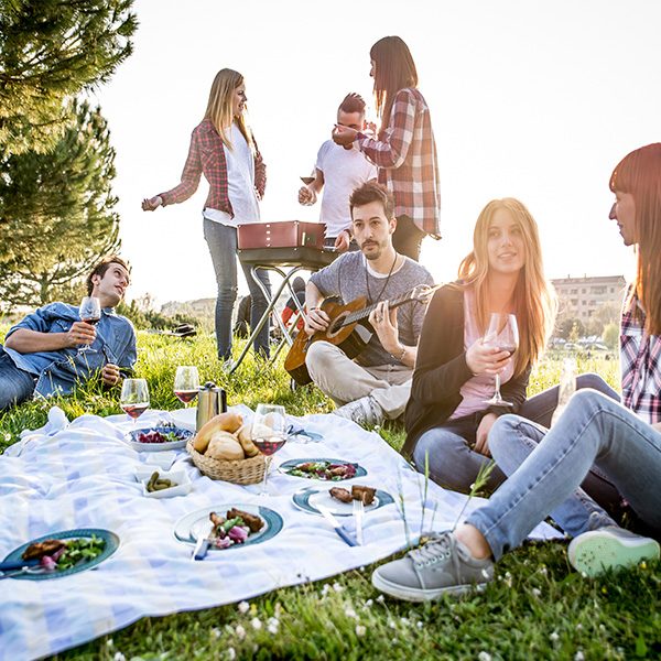 picnic con vino ecológico