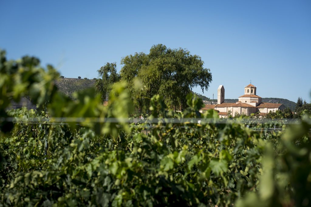 Monasterio de Santa María de Valbuena en la Ribera del Duero. El suelo en la Ribera del Duero