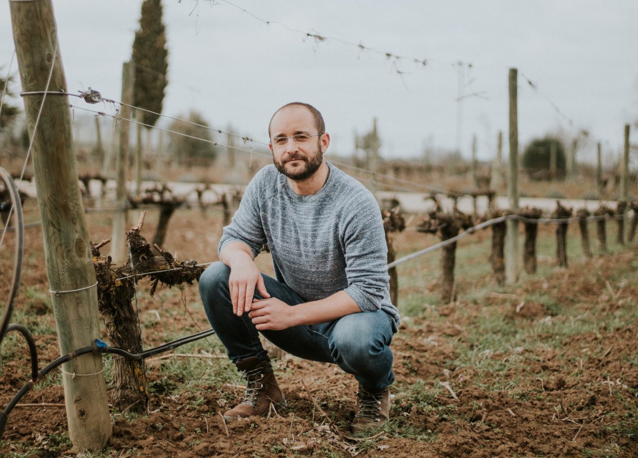 BODEGAS FAMILIARES MATARROMERA. EL LLORO EN EL VIÑEDO.