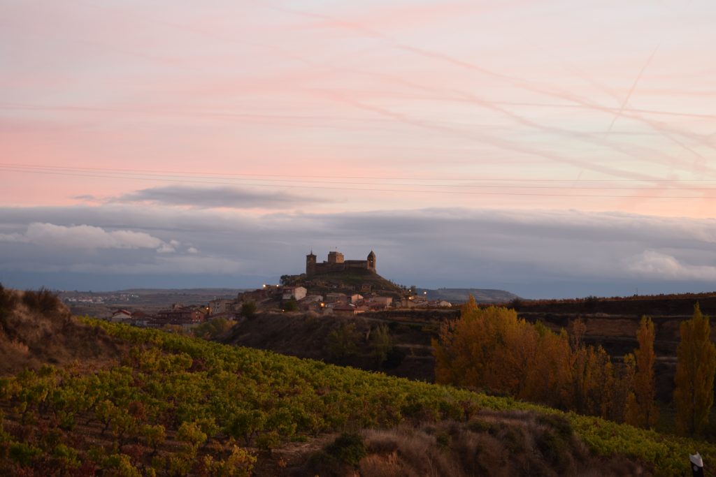 BODEGA CARLOS MORO EN SAN VICENTE DE LA SONSIERRA