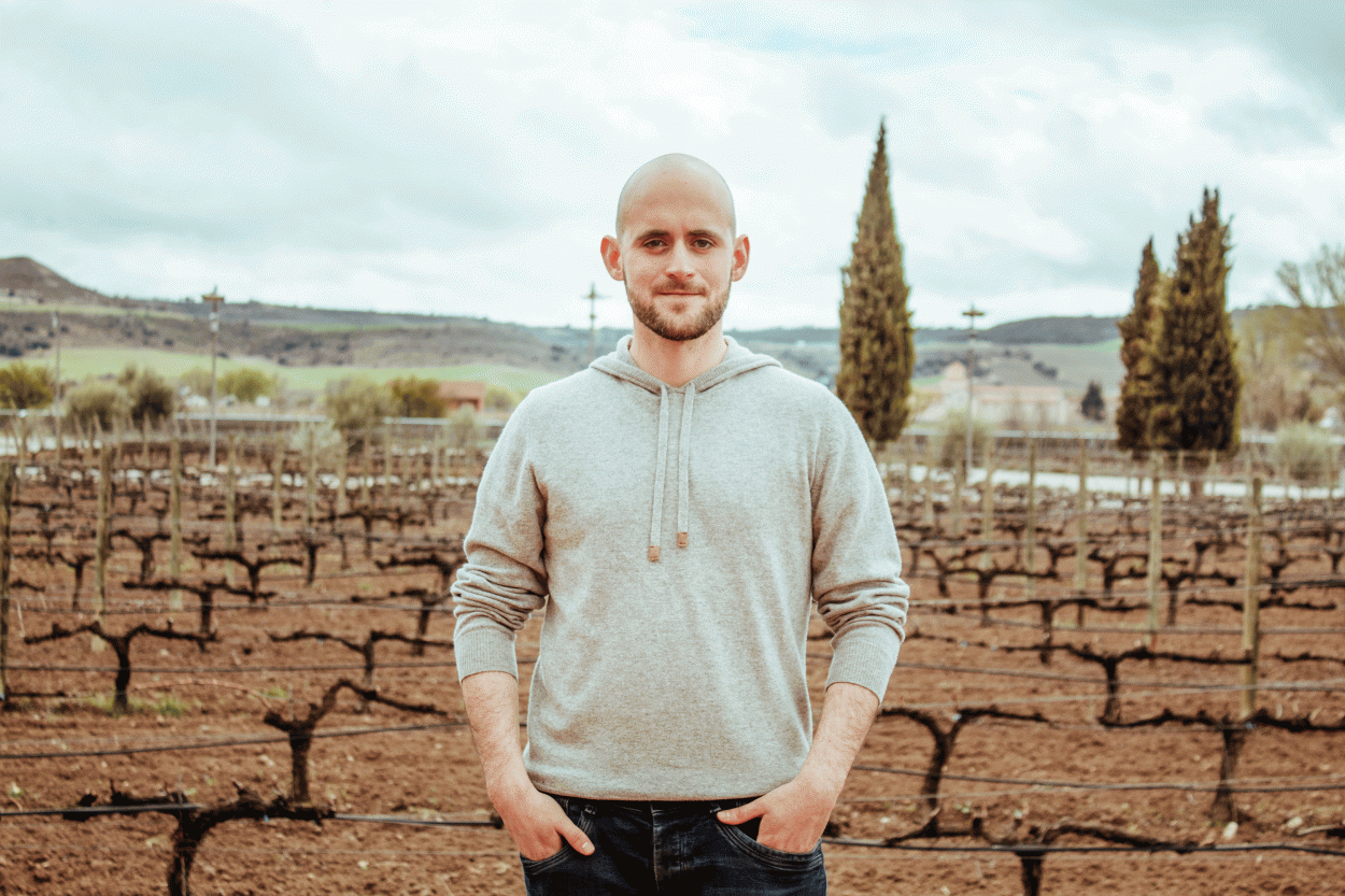 Vinos ecológicos