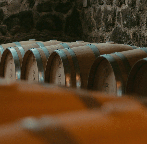 ¿Por qué un vino es Reserva o Gran Reserva?