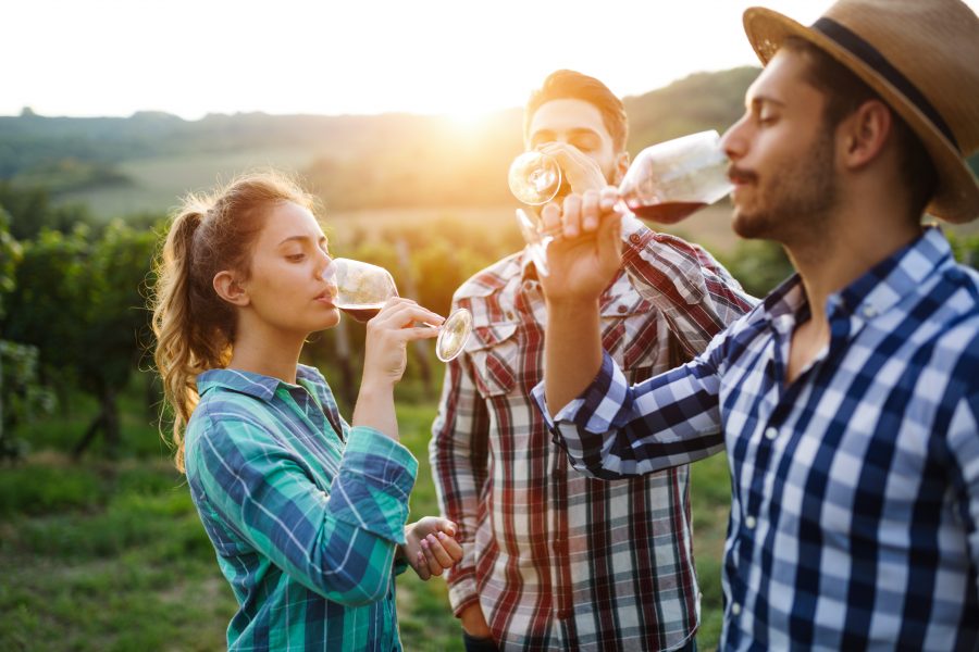 diccionario del vino
