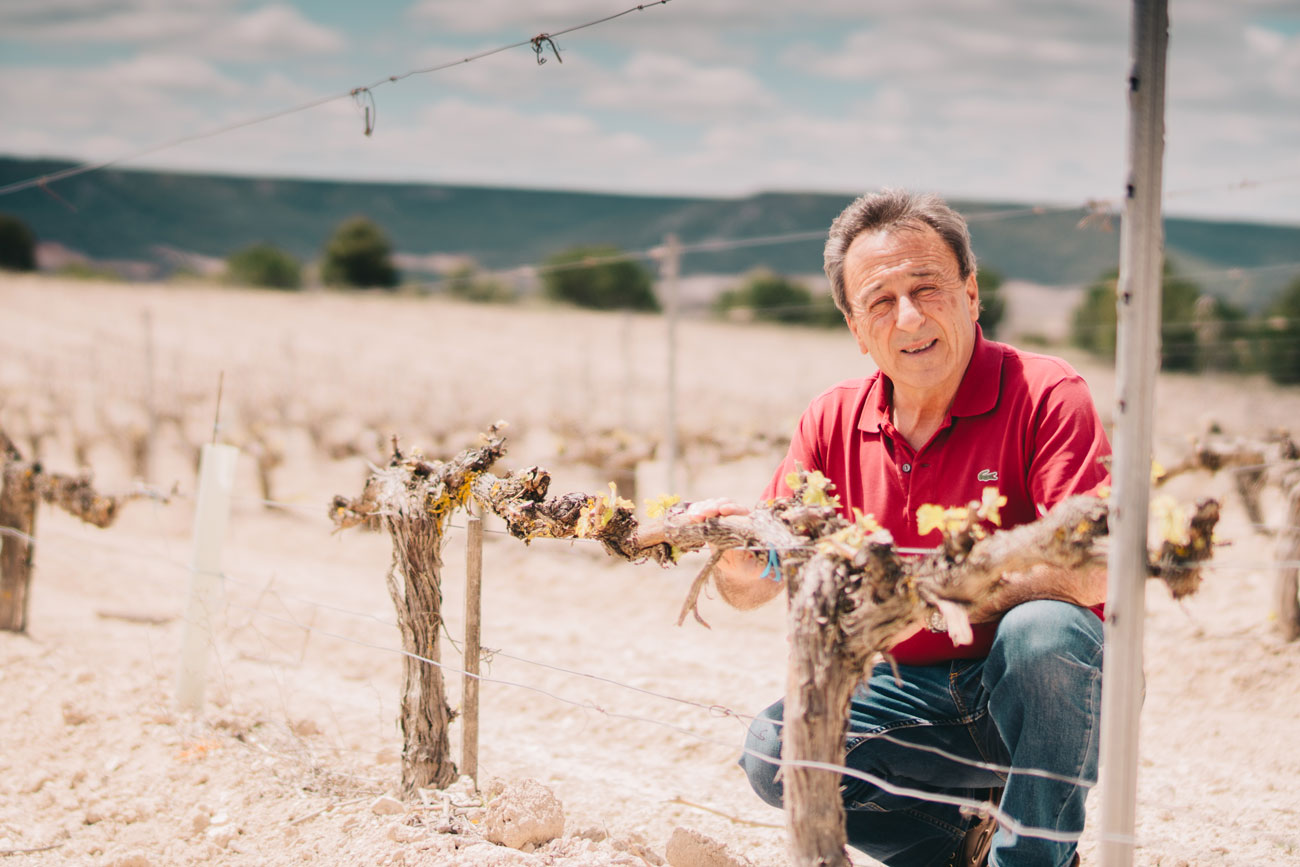 felix gonzález, enologo de bodega matarromera