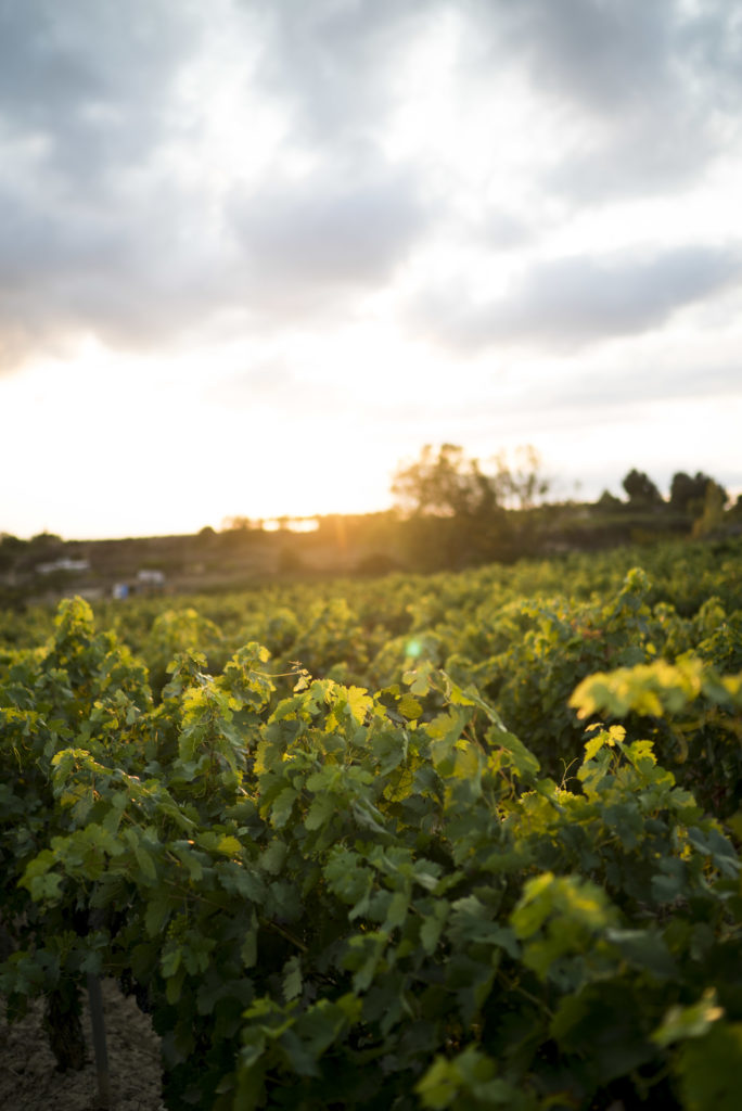 sostenibles por naturaleza