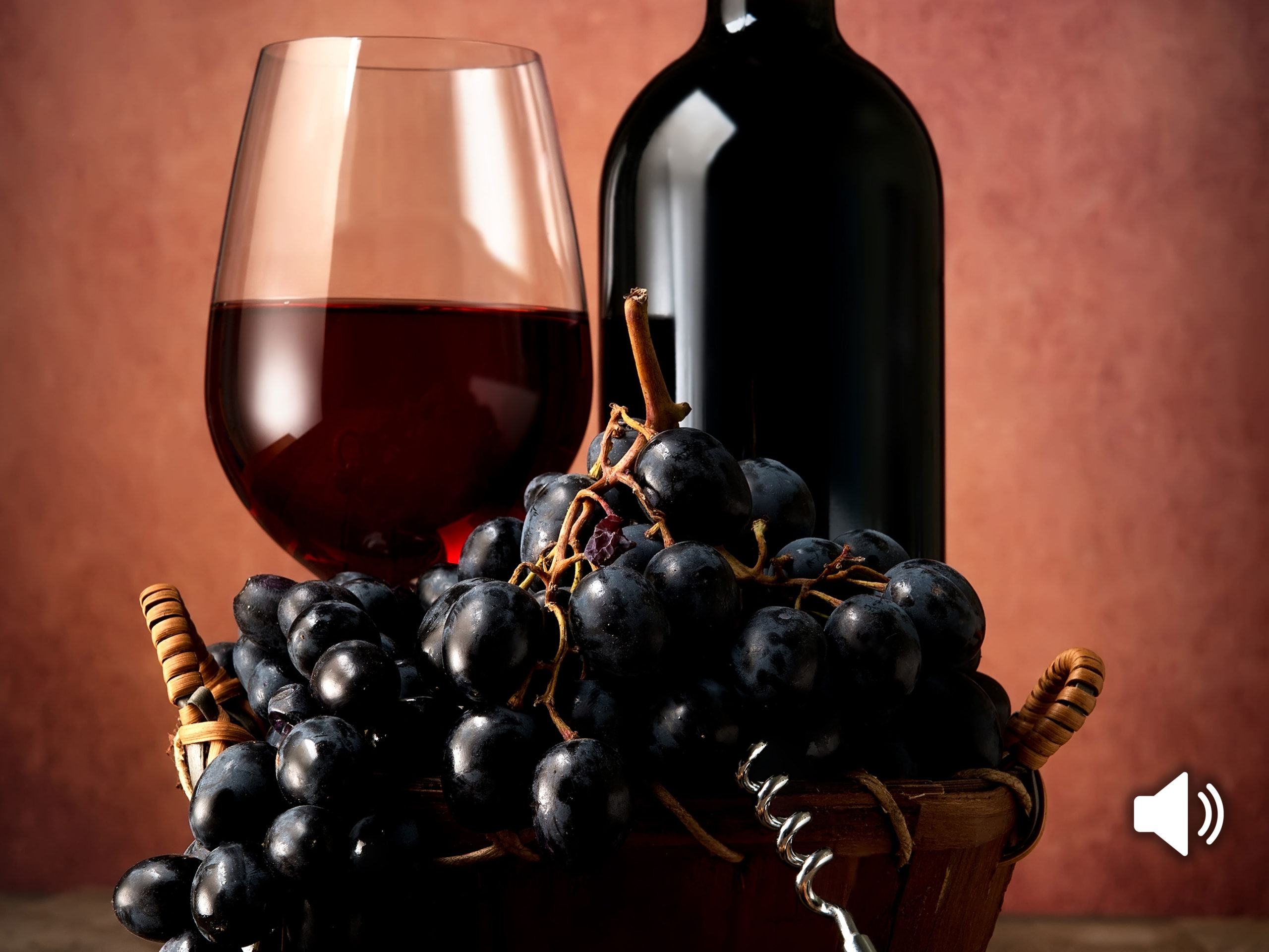 podcast-la-esencia-del-vino-matarromera