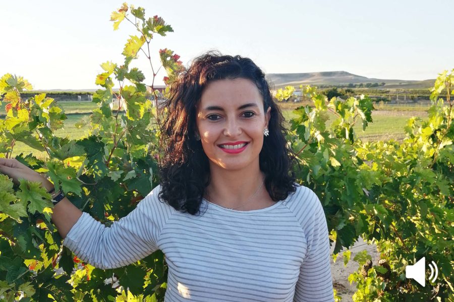 enoturismo para todos - sara garcía - ruta del vino ribera del duero