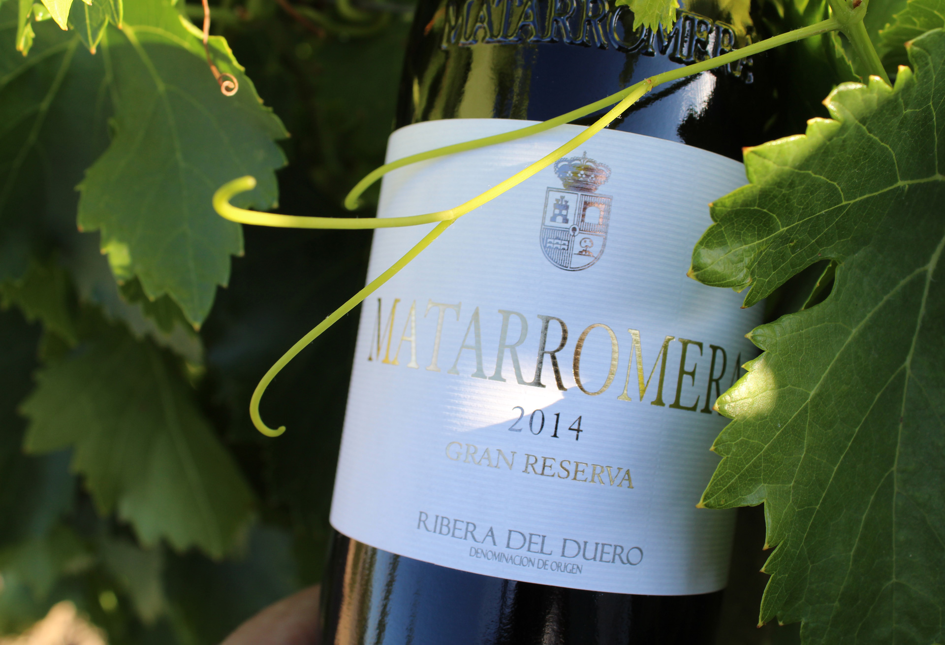 Diferencias entre un vino crianza, reserva y gran reserva