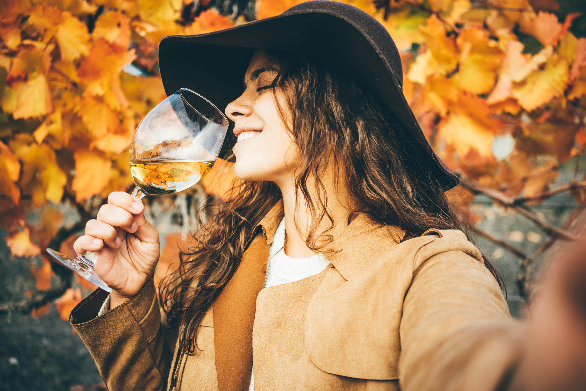 tres vinos para disfrutar en otoño