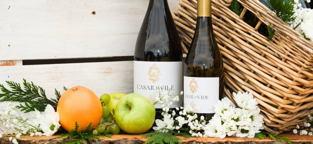 Bodega Casar de Vide