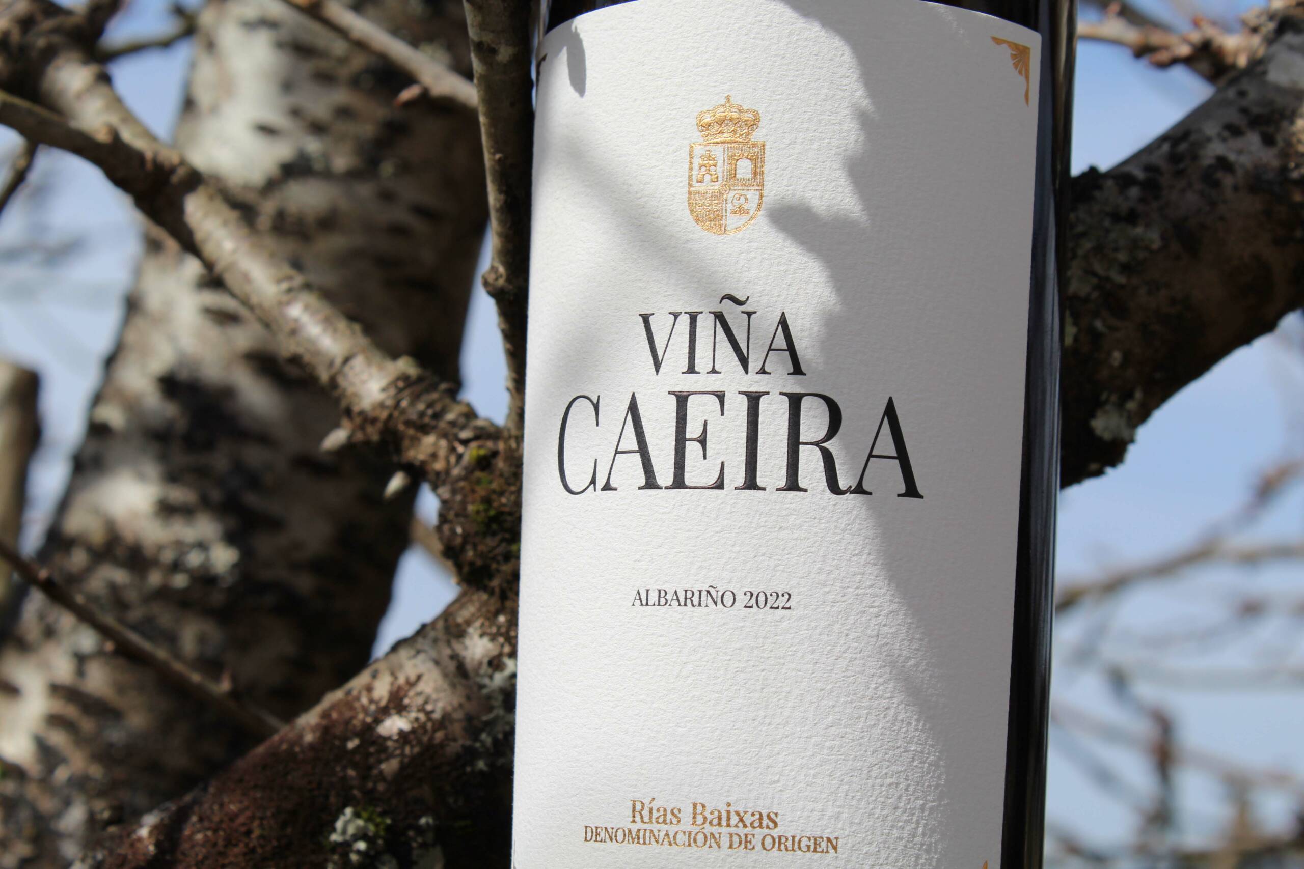 cuatro-vinos-blancos-para-darle-la-bienvenida-al-buen-tiempo