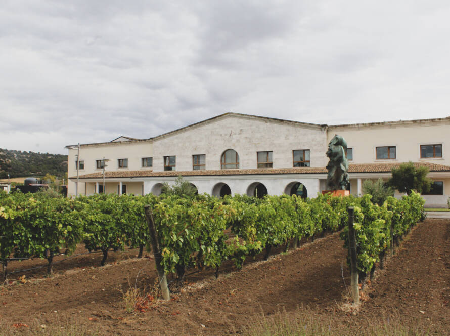 Bodega Emina - Ribera del Duero - Rueda - Premio Mejor Estrategia sostenibilidad Castilla y León Económica