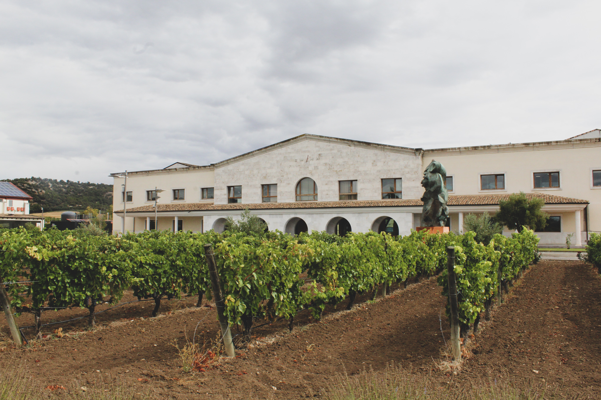 Bodega Emina - Ribera del Duero - Rueda - Premio Mejor Estrategia sostenibilidad Castilla y León Económica