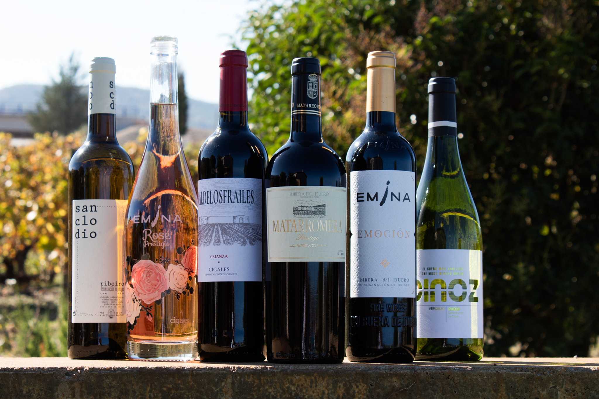 Puntuaciones Guía de Vinos Gourmets