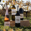 Dos Win Sin Alcohol para disfrutar libremente del verano