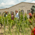 Enoturismo en Semana Santa: especial Bodega Emina Ribera del Duero (y todo lo que puedes disfrutar cerca)
