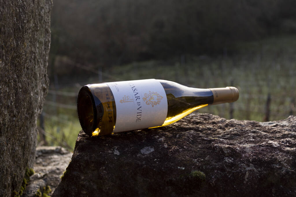 Casar de Vide - Baco de Oro en Ribeiro