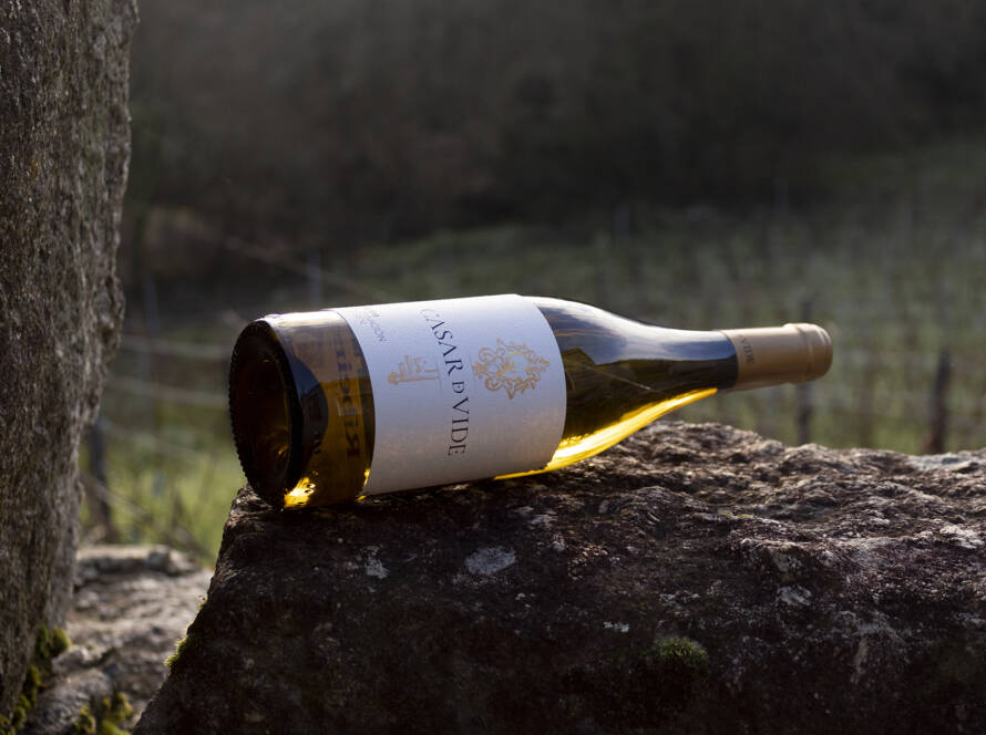 Casar de Vide - Baco de Oro en Ribeiro