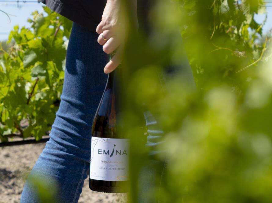 Emina Gran Vino de Rueda Verdejo Selección Cuvée 93 Decanter