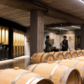 Milla de Oro de la Ribera del Duero: Mejor Destino Enoturístico