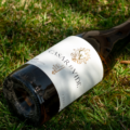 Casar de Vide, el vino blanco del verano