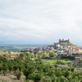 Viaje a Rioja: tierra de grandes vinos