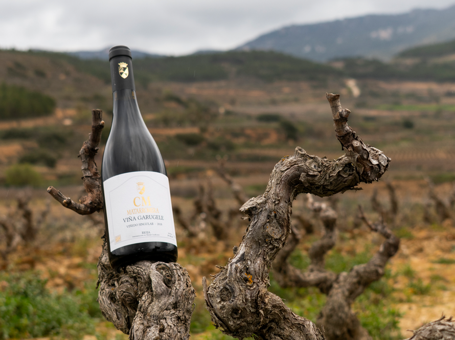 CM Viña Garugele - D.O. Ca. Rioja
