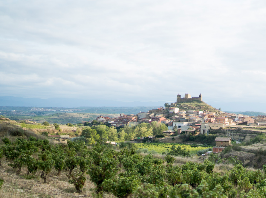 CM Viña Garugele - D.O. Ca. Rioja