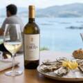 Vinos blancos para acompañar pescados y mariscos: cuatro maridajes para acertar